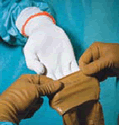 GLOVES